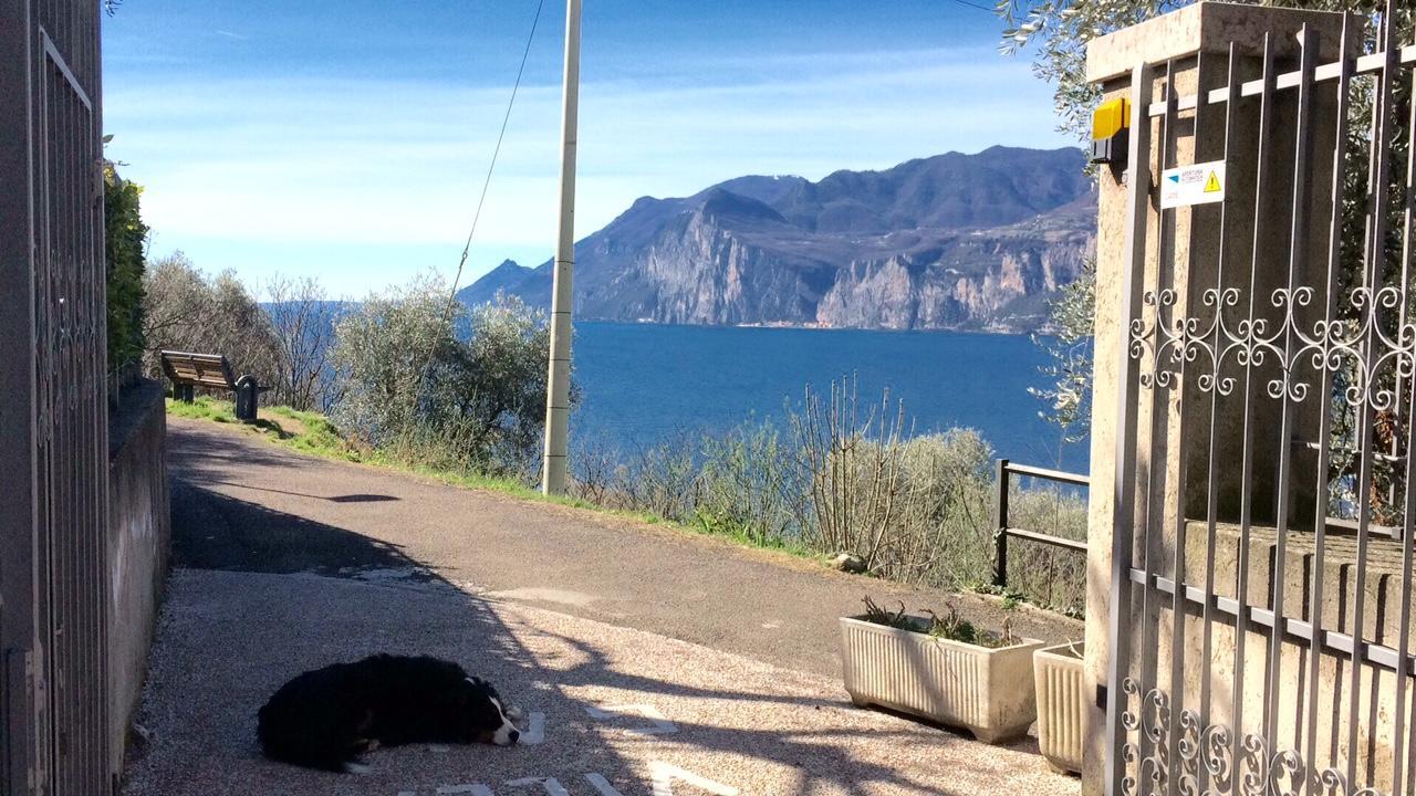 Villa Gaia Malcesine Buitenkant foto